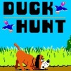 Duck Hunter