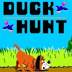 Duck Hunter
